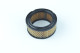Filtre à air pour moteur Briggs & Stratton 392286