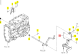 BIELLETTE/U 142 ISEKI 1805-308-002-00
