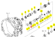 Corps de Pompe Iseki 1747-209-054-20