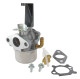 CARBURATEUR MOTEUR BRIGGS ET STRATTON 693865 - 694508 - 696981 - 697354 - 698859 - 798653