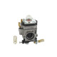 Carburateur moteur VIPER 300486