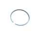 Segment Echo 10001108360