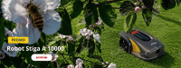 Offre printemps