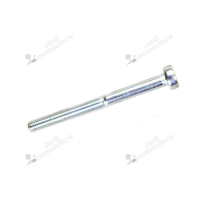 Boulon Echo V805000340