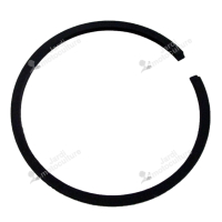 SEGMENT ECHO 10001110530