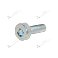 Vis 5X16 V805000150 Echo