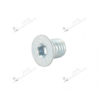 Vis de lame broyeur ALKO 503616