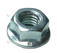 Écrou à bride Echo 43301903933 Origine