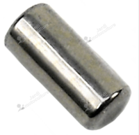 Goupille de frein de chaîne Echo - Shindaiwa  90033040088 Origine